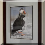 A38. Signed Sandy Selesky puffin photograph. Frame: 22”h x 18”w 